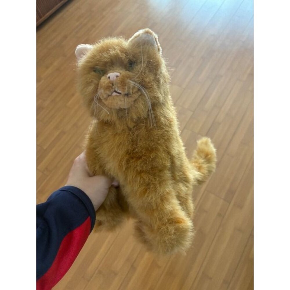 Morris the Cat 9 Lives Talking Plush Animal Realistic Orange Tabby Cat
